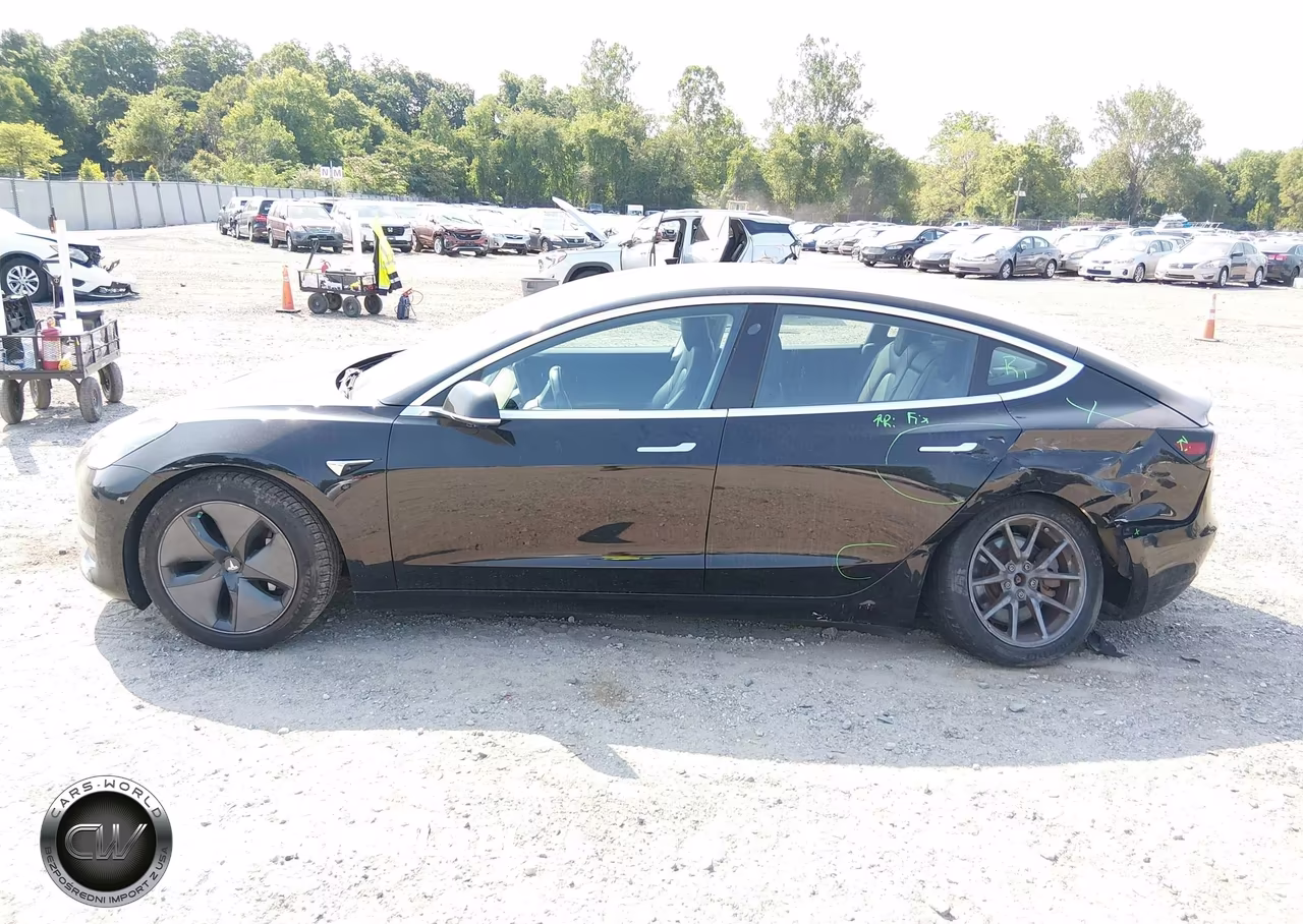 2019 Tesla Model 3 Long Range-Mid Range-Standard Range-Standard Range Plus VIN:5YJ3E1EA7KF324010 - 13