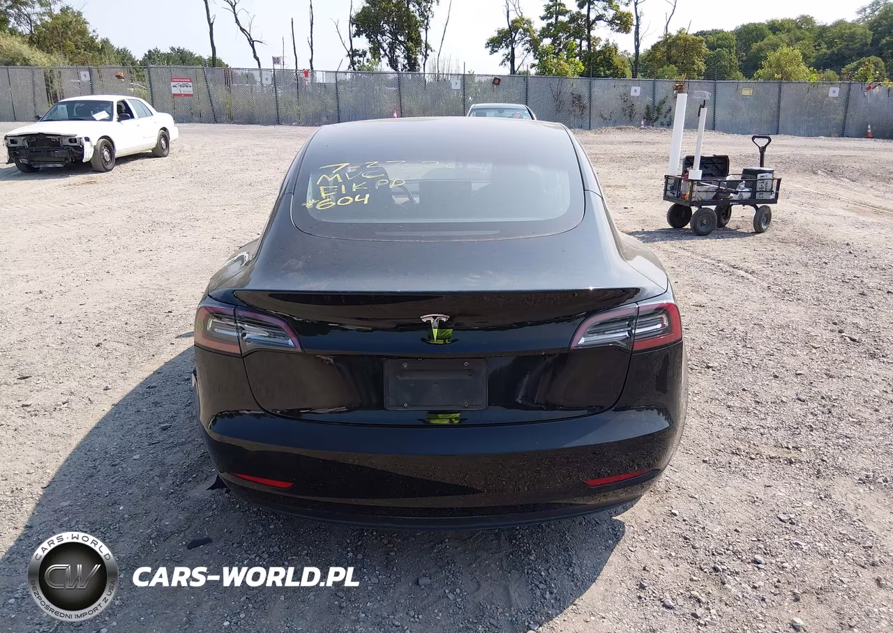 2019 Tesla Model 3 Long Range-Mid Range-Standard Range-Standard Range Plus VIN:5YJ3E1EA7KF324010 - 15