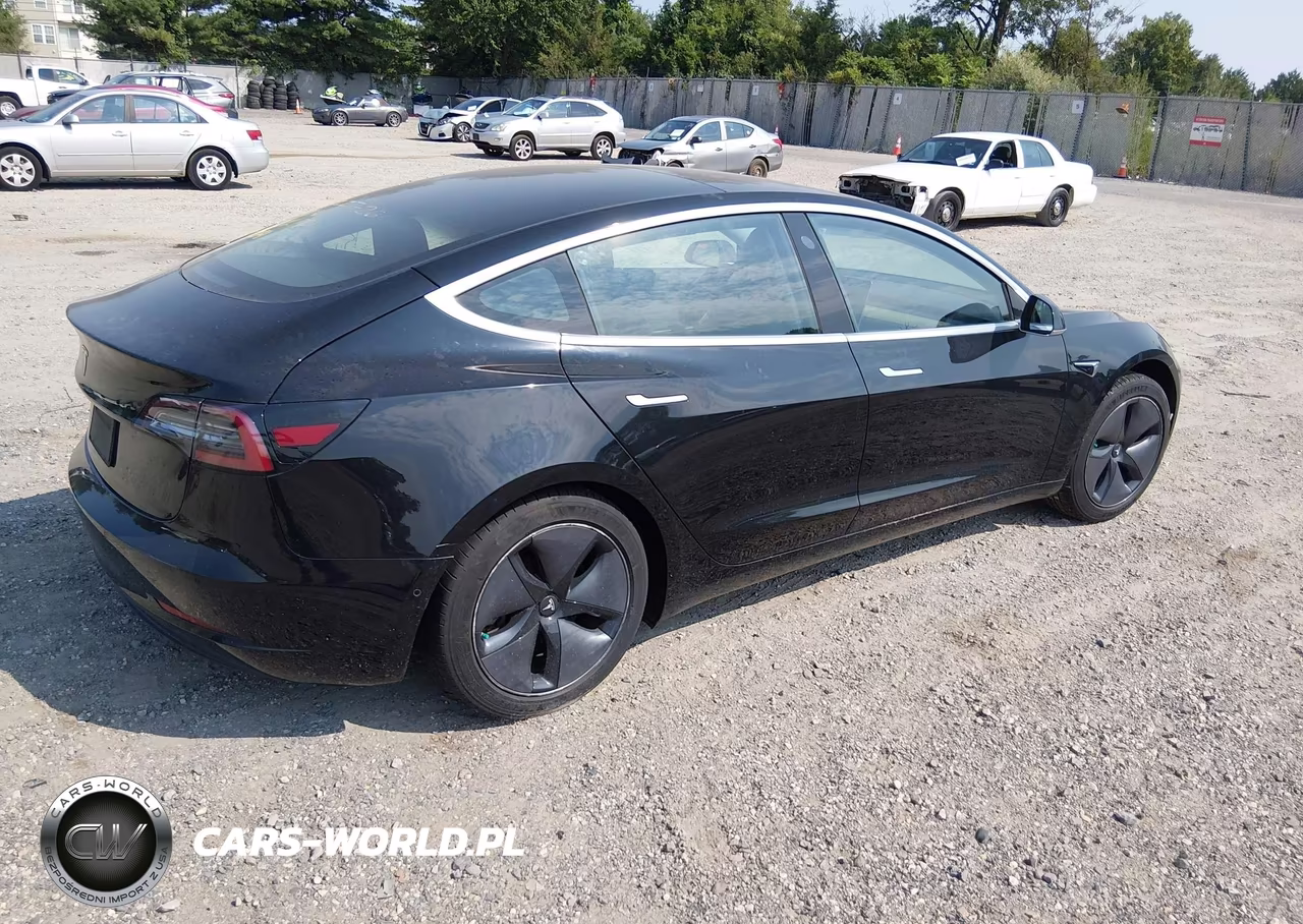 2019 Tesla Model 3 Long Range-Mid Range-Standard Range-Standard Range Plus VIN:5YJ3E1EA7KF324010 - 4