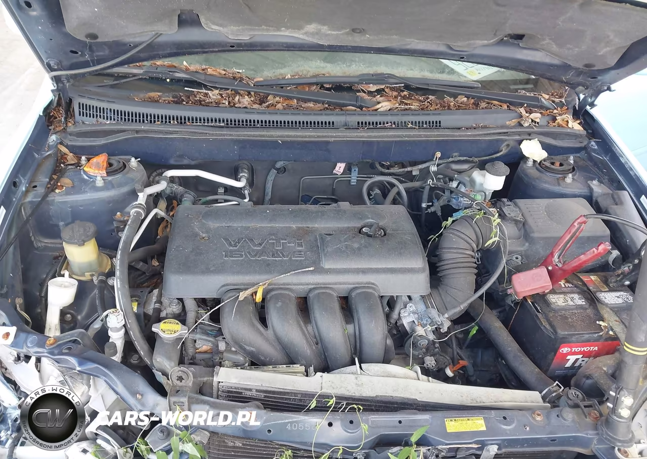 2003 Toyota Corolla S VIN:1NXBR32E63Z145934 - 10