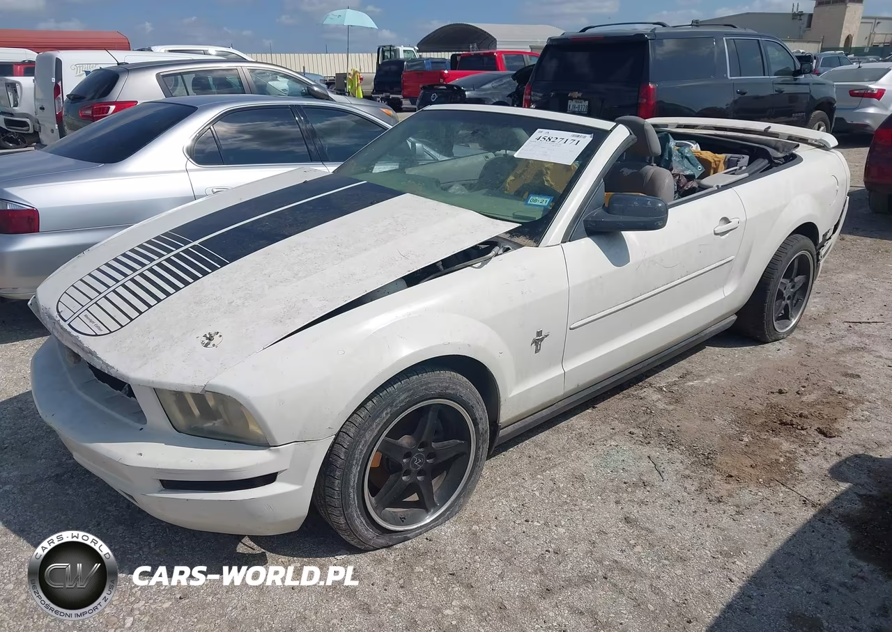 2006 Ford Mustang V6 VIN:1ZVFT84N065222035 - 2