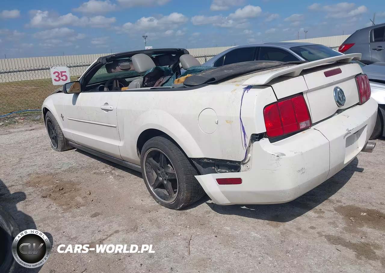 2006 Ford Mustang V6 VIN:1ZVFT84N065222035 - 3