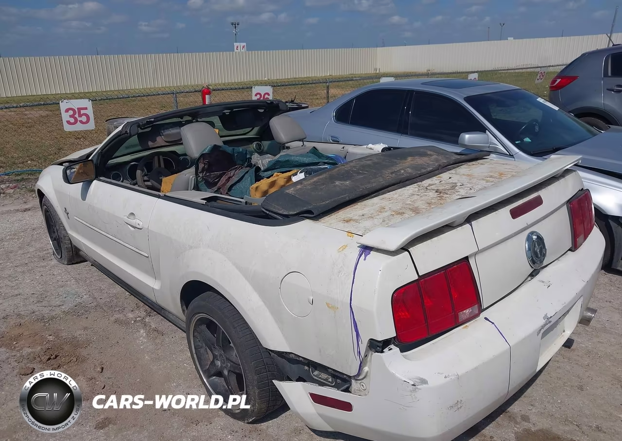 2006 Ford Mustang V6 VIN:1ZVFT84N065222035 - 6