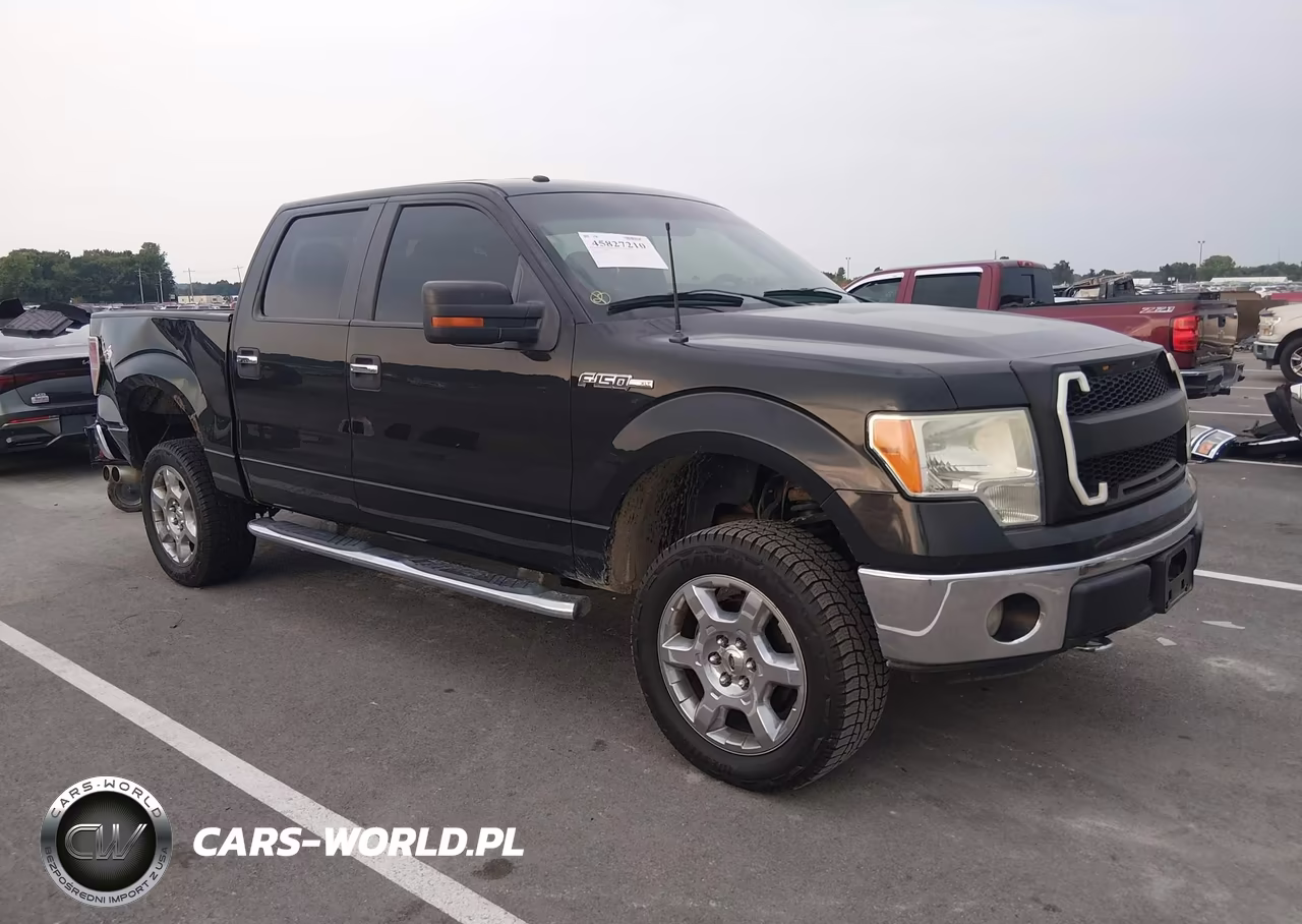 2013 Ford F-150 Xlt – zdjęcie 1 z 17