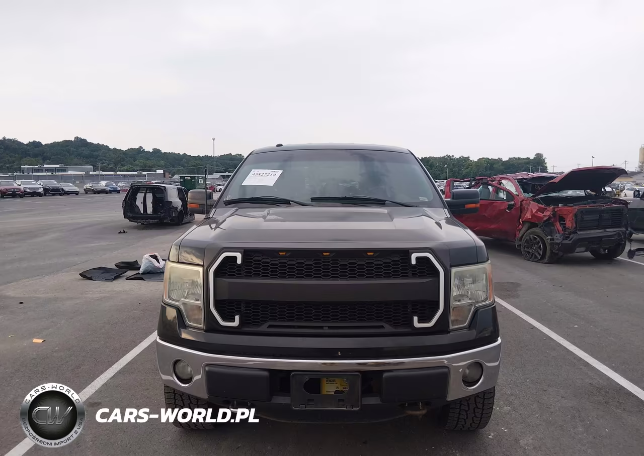 2013 Ford F-150 Xlt VIN:1FTFW1EF4DFD05225 - 12