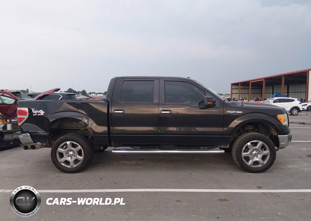 2013 Ford F-150 Xlt VIN:1FTFW1EF4DFD05225 - 13