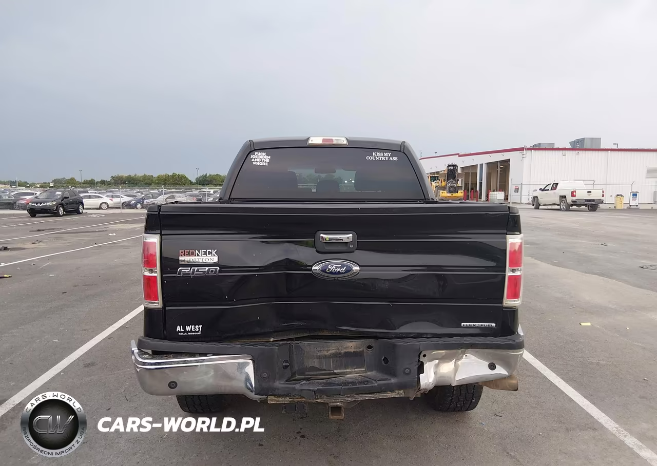 2013 Ford F-150 Xlt VIN:1FTFW1EF4DFD05225 - 16