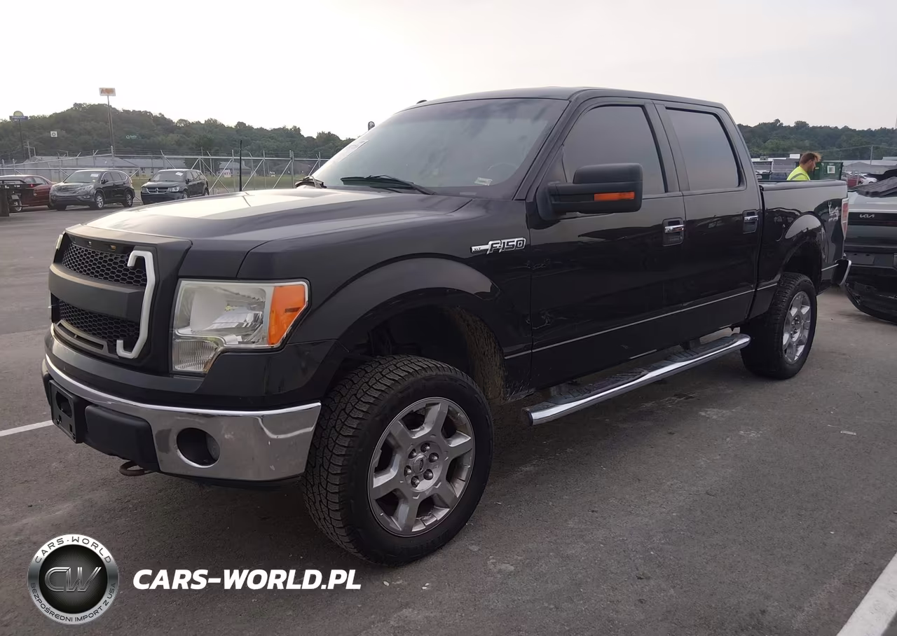 2013 Ford F-150 Xlt VIN:1FTFW1EF4DFD05225 - 2
