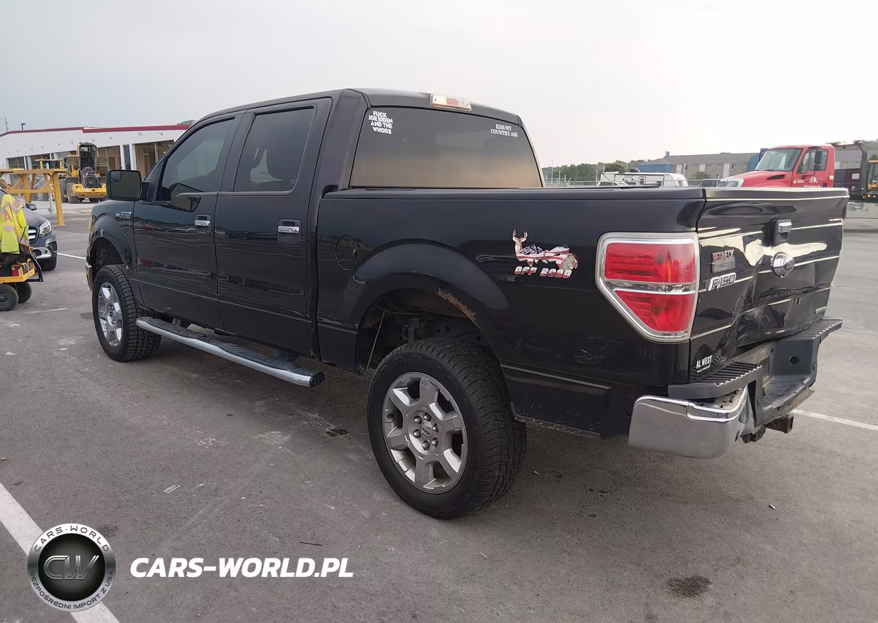2013 Ford F-150 Xlt VIN:1FTFW1EF4DFD05225 - 3