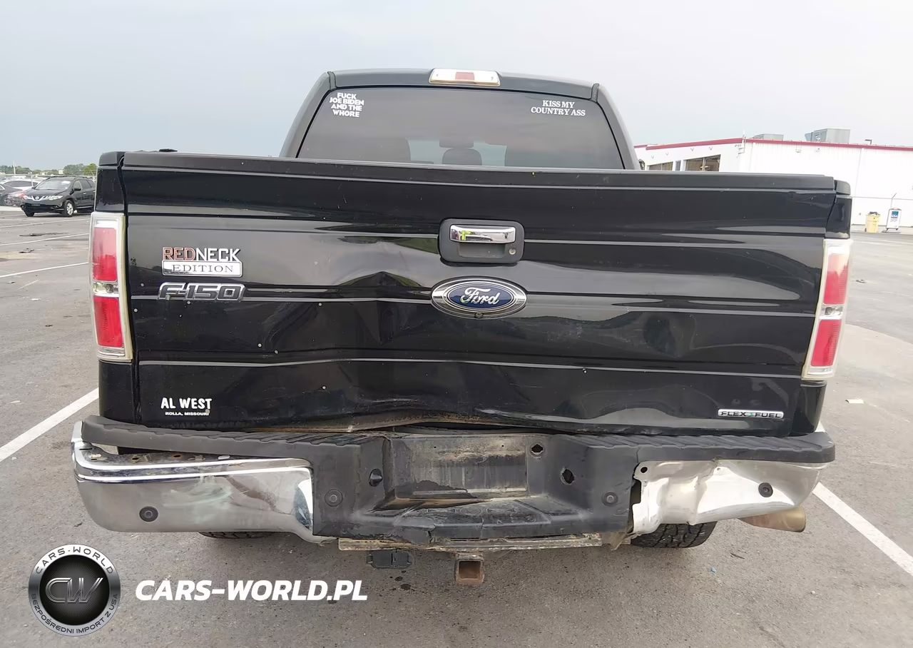 2013 Ford F-150 Xlt VIN:1FTFW1EF4DFD05225 - 6