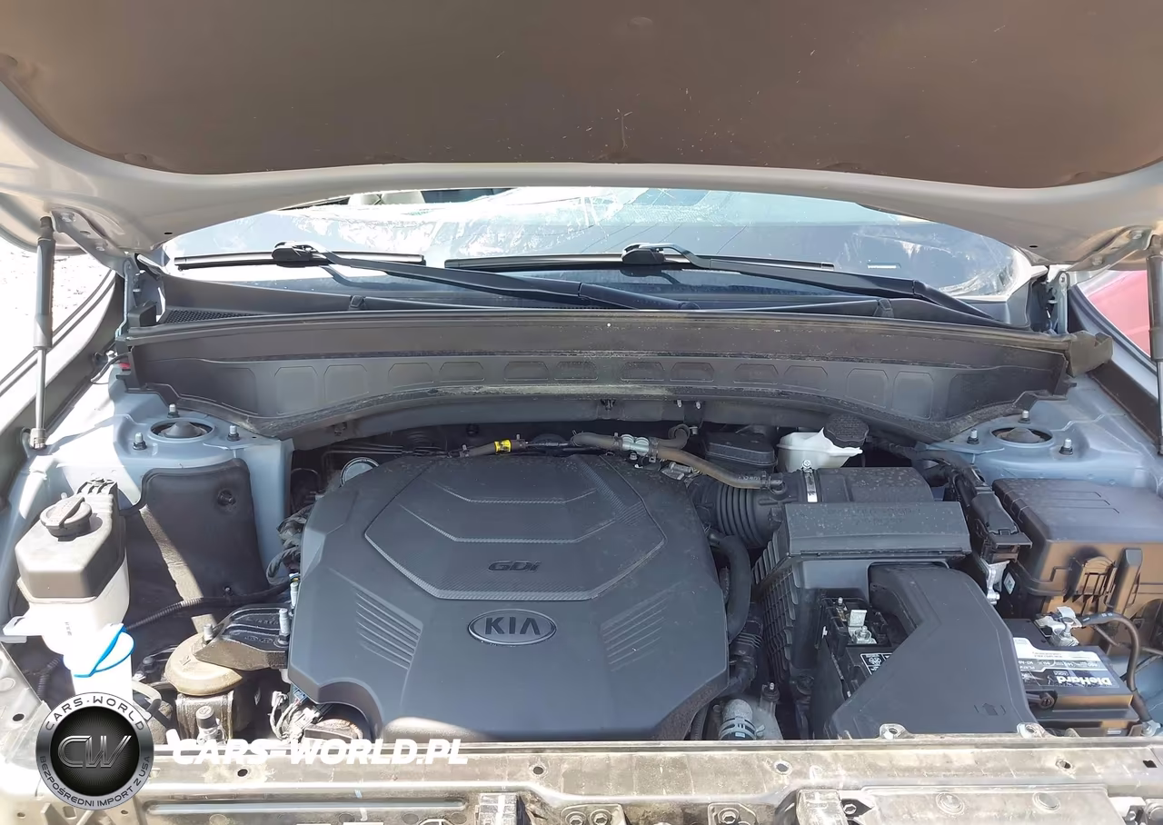 2021 Kia Telluride Ex VIN:5XYP34HC2MG162658 - 10