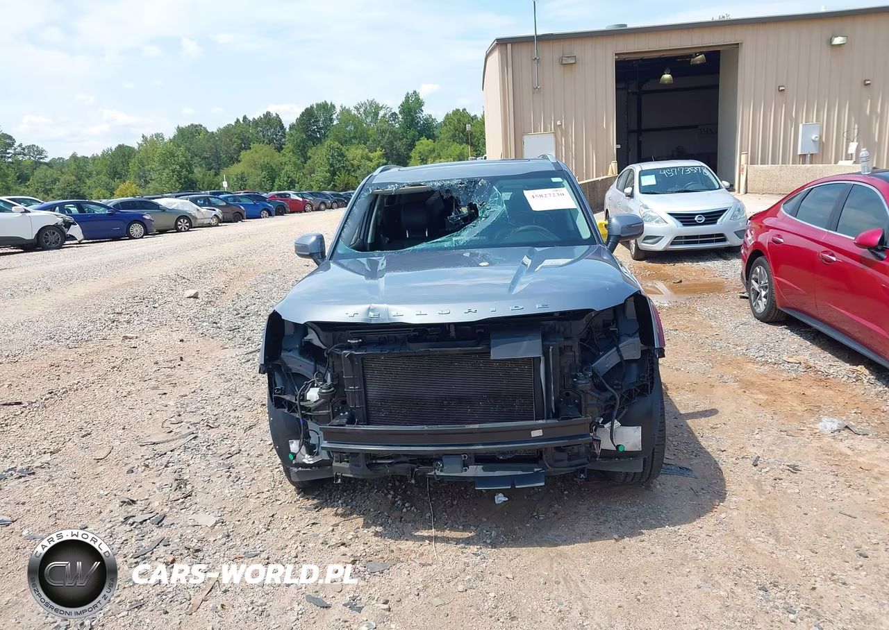 2021 Kia Telluride Ex VIN:5XYP34HC2MG162658 - 13