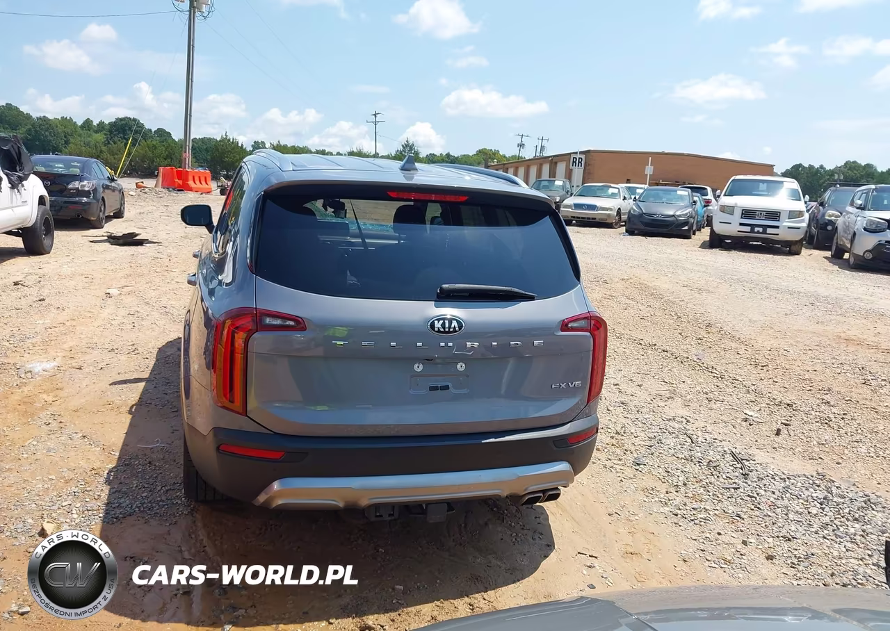 2021 Kia Telluride Ex VIN:5XYP34HC2MG162658 - 17