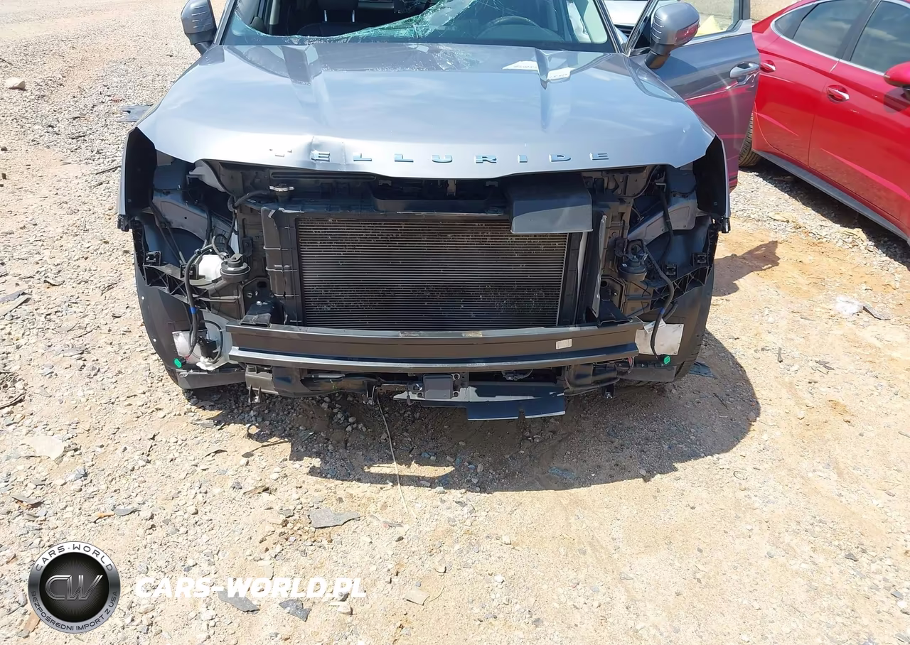 2021 Kia Telluride Ex VIN:5XYP34HC2MG162658 - 6