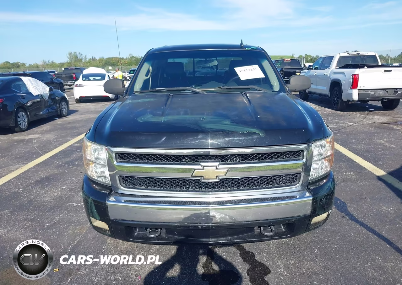 2009 Chevrolet Silverado 1500 Lt VIN:3GCEC23J99G228083 - 12