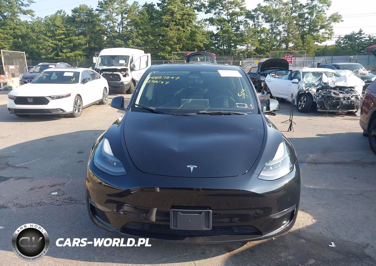 2022 Tesla Model Y Performance Dual Motor All-Wheel Drive VIN:7SAYGDEF5NF544282 - 12