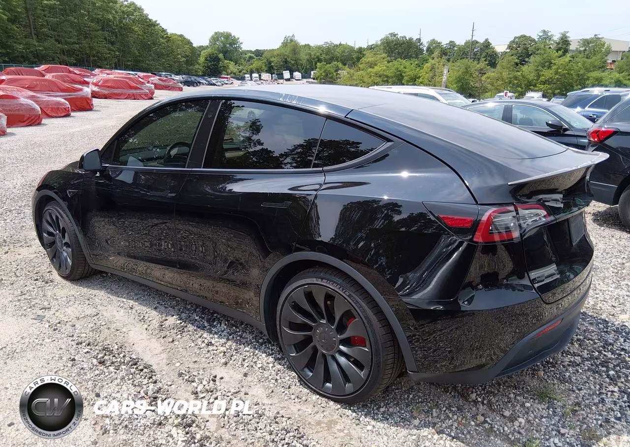 2022 Tesla Model Y Performance Dual Motor All-Wheel Drive VIN:7SAYGDEF5NF544282 - 3