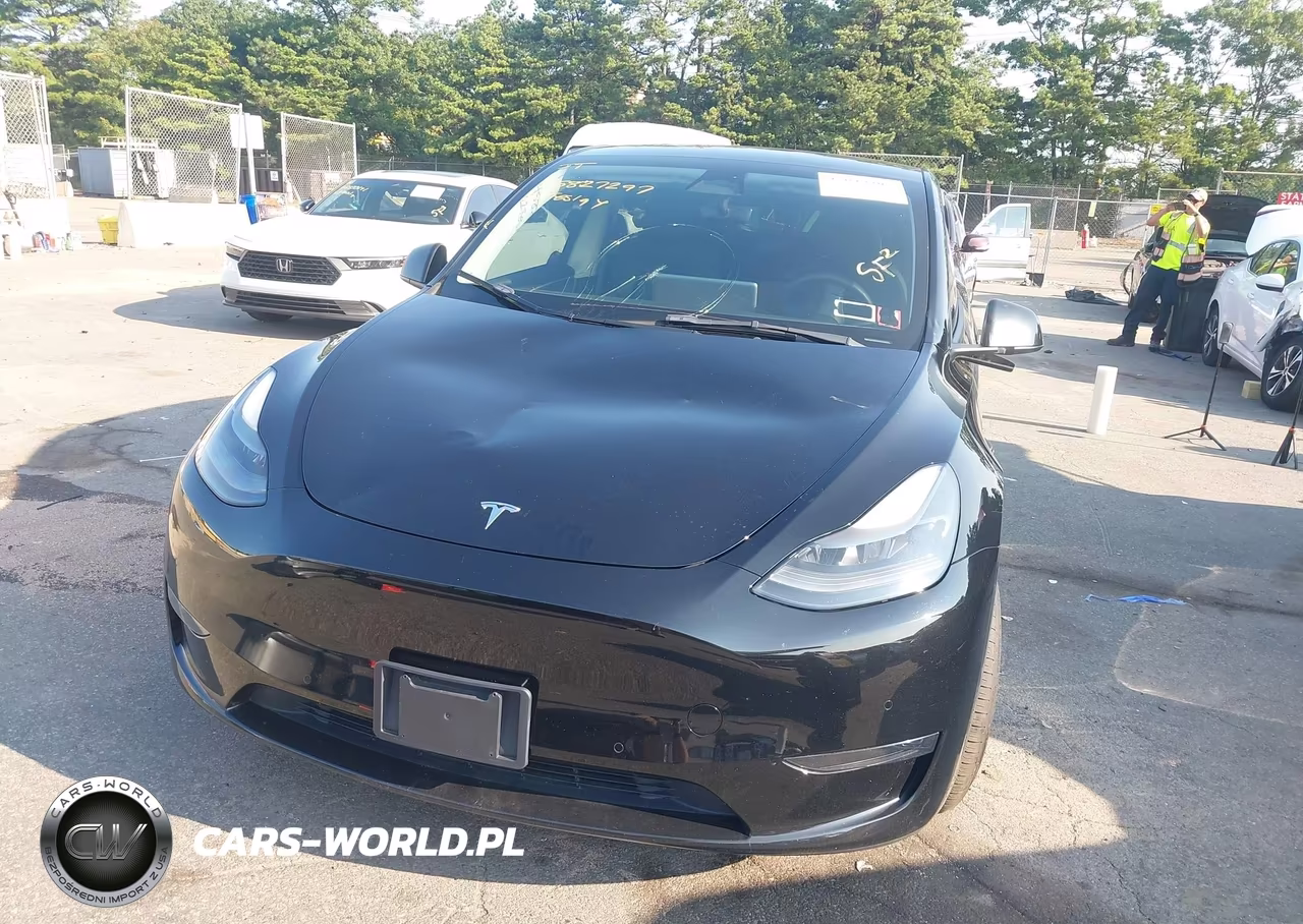 2022 Tesla Model Y Performance Dual Motor All-Wheel Drive VIN:7SAYGDEF5NF544282 - 6