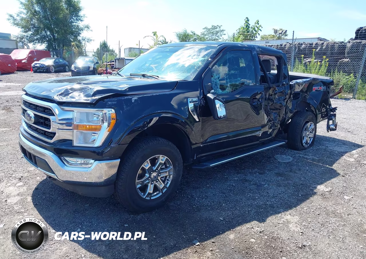 2023 Ford F-150 Xlt VIN:1FTEW1EP7PFD33528 - 2