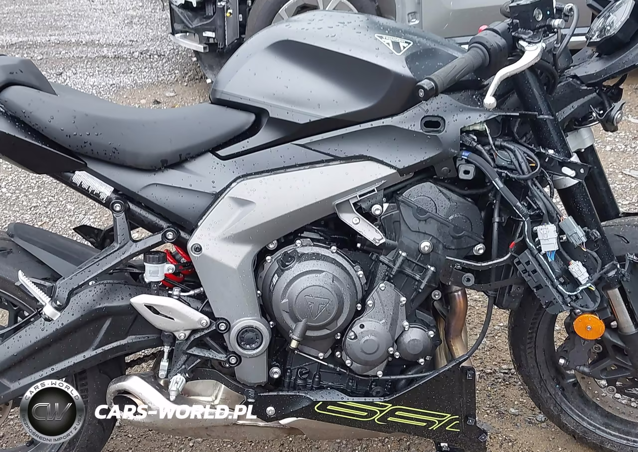 2025 Triumph Motorcycle Daytona 660 VIN:SMTL23UFXSTBU8394 - 8