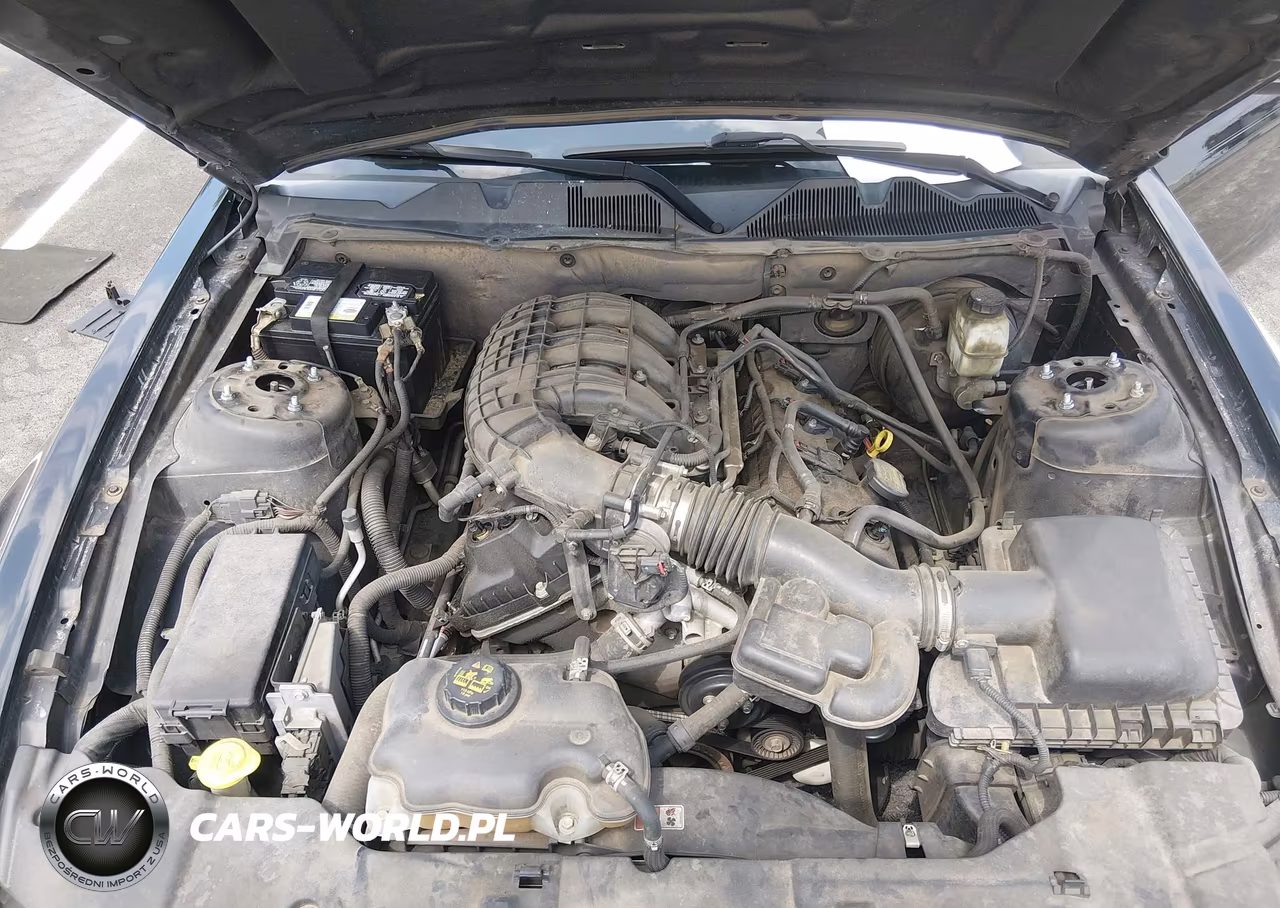 2014 Ford Mustang V6 VIN:1ZVBP8AM2E5269239 - 10