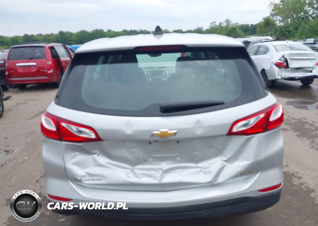 2019 Chevrolet Equinox Ls VIN:3GNAXHEV6KL275503 - 16