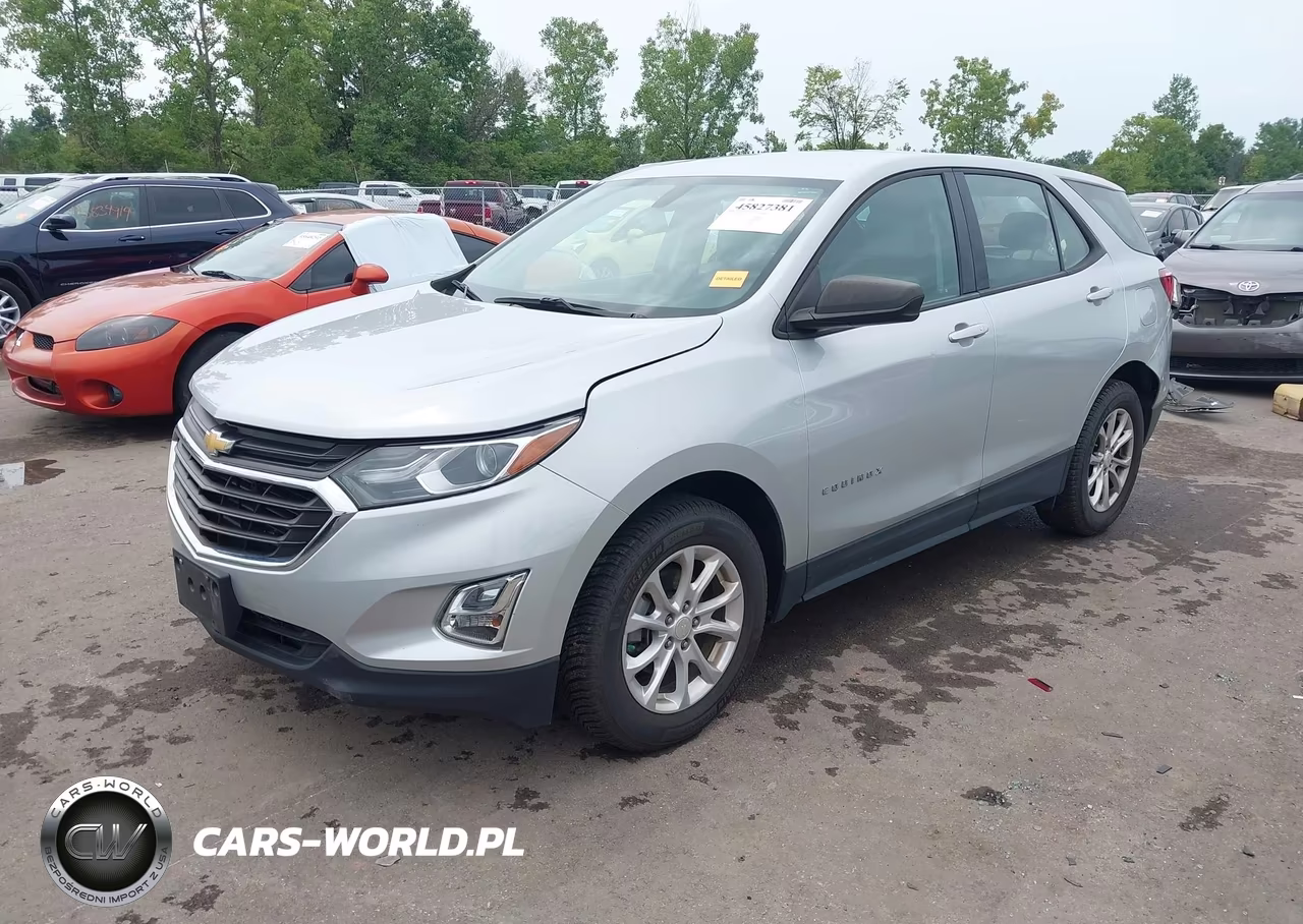 2019 Chevrolet Equinox Ls VIN:3GNAXHEV6KL275503 - 2
