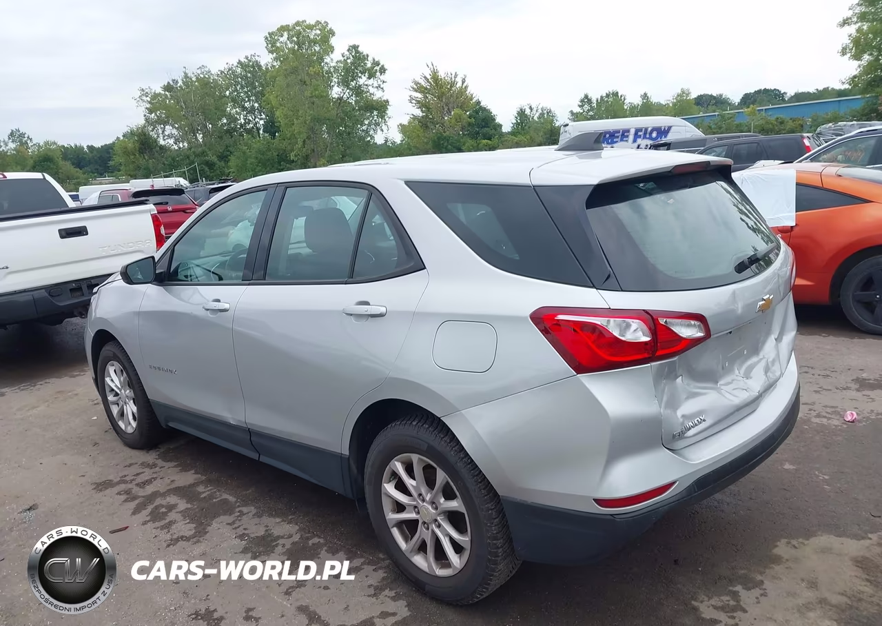 2019 Chevrolet Equinox Ls VIN:3GNAXHEV6KL275503 - 3