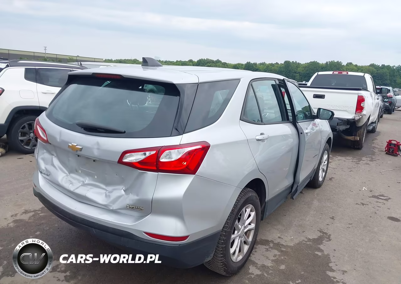 2019 Chevrolet Equinox Ls VIN:3GNAXHEV6KL275503 - 4