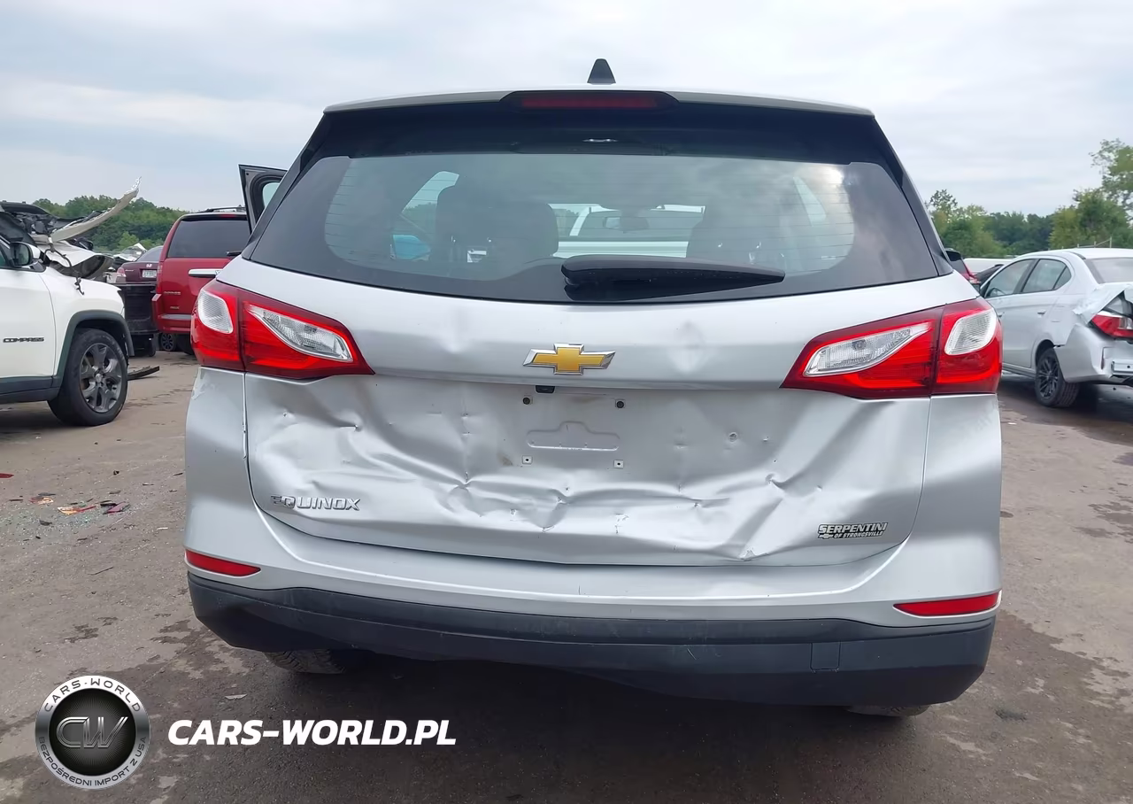 2019 Chevrolet Equinox Ls VIN:3GNAXHEV6KL275503 - 6