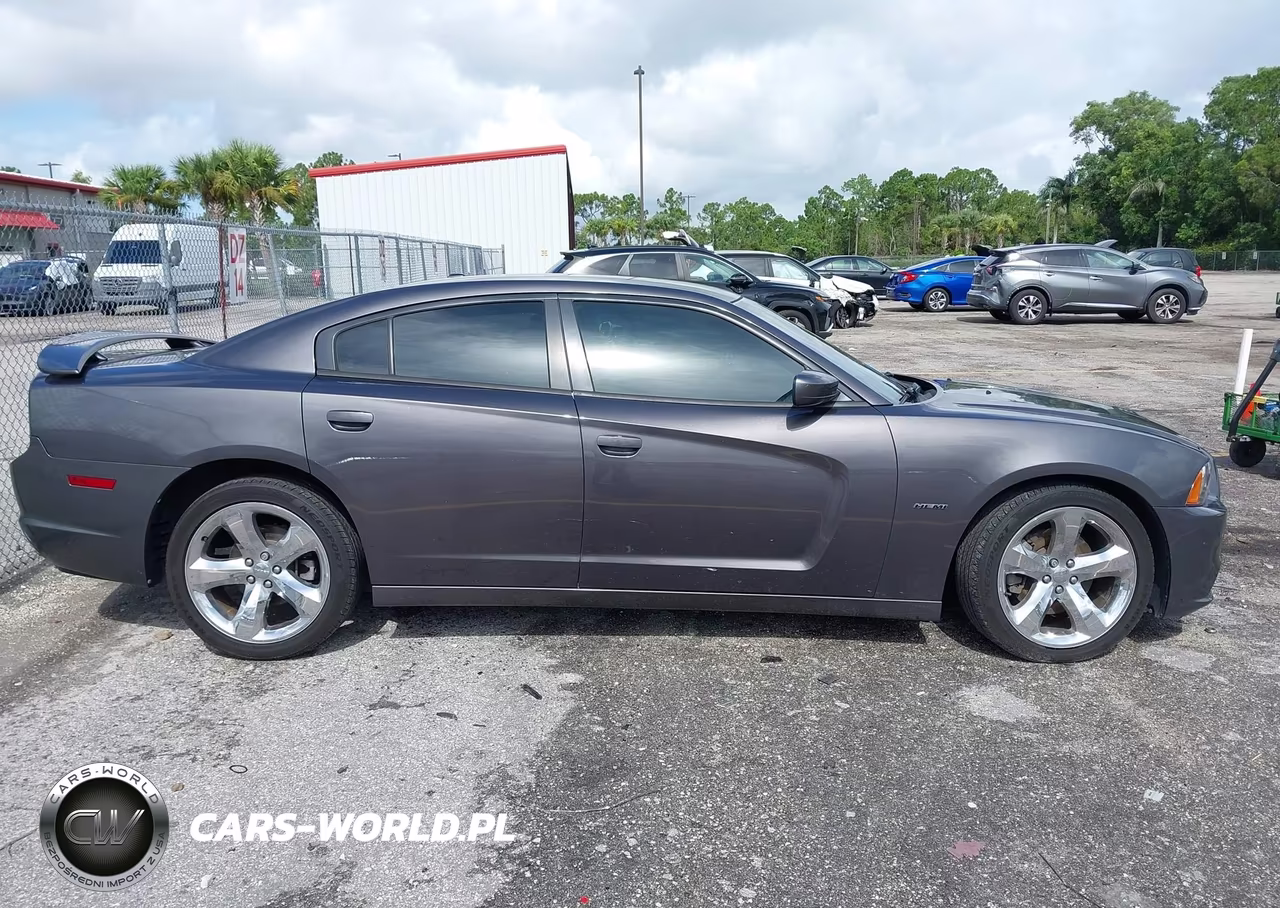 2013 Dodge Charger Road-Track VIN:2C3CDXCT9DH595713 - 13
