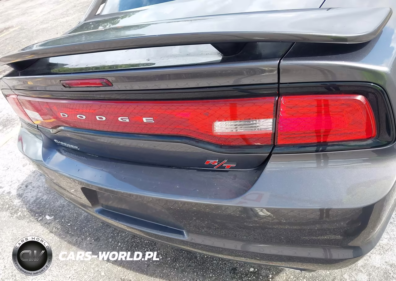 2013 Dodge Charger Road-Track VIN:2C3CDXCT9DH595713 - 16