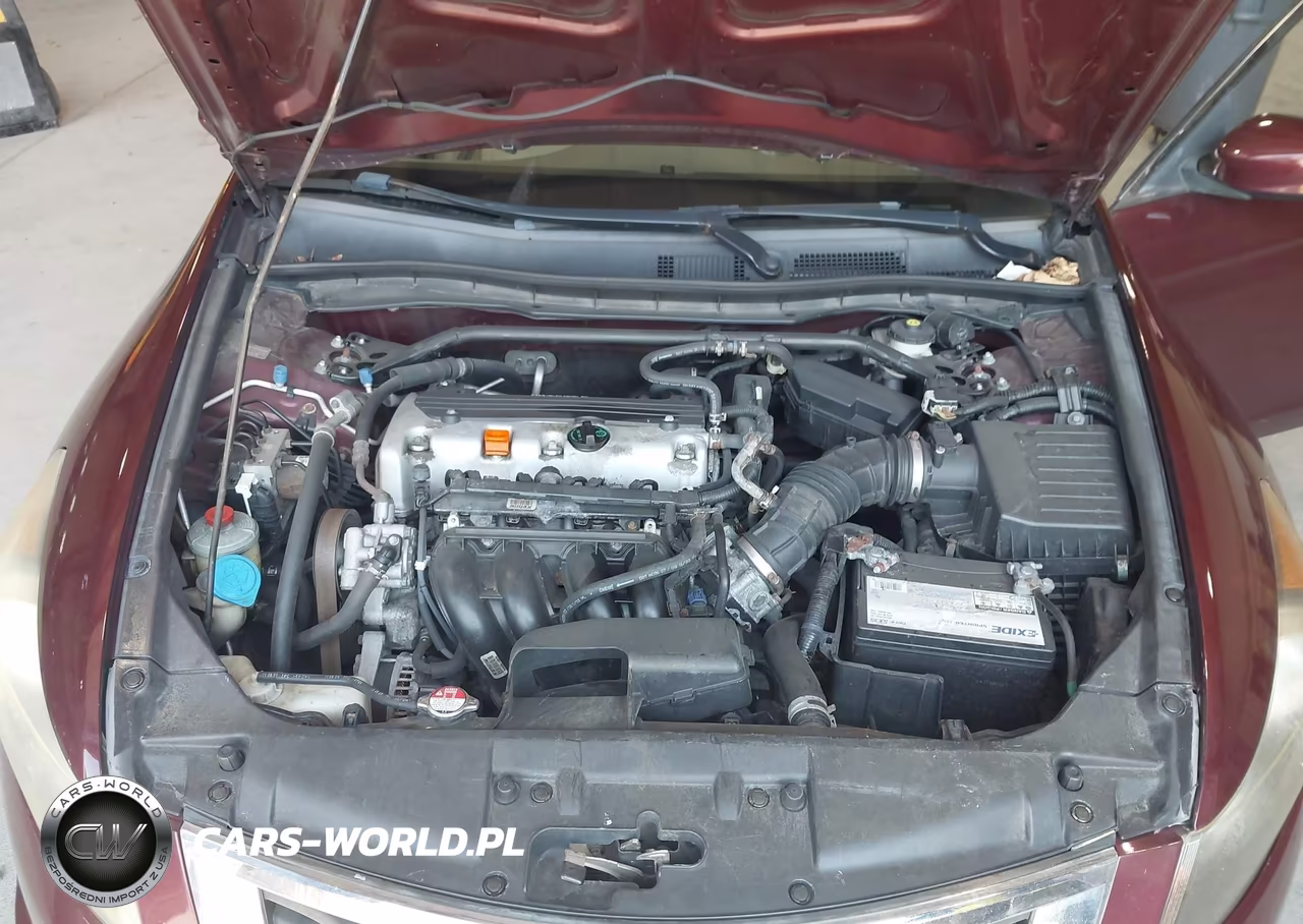 2010 Honda Accord 2.4 Ex-L VIN:1HGCP2F83AA031502 - 10