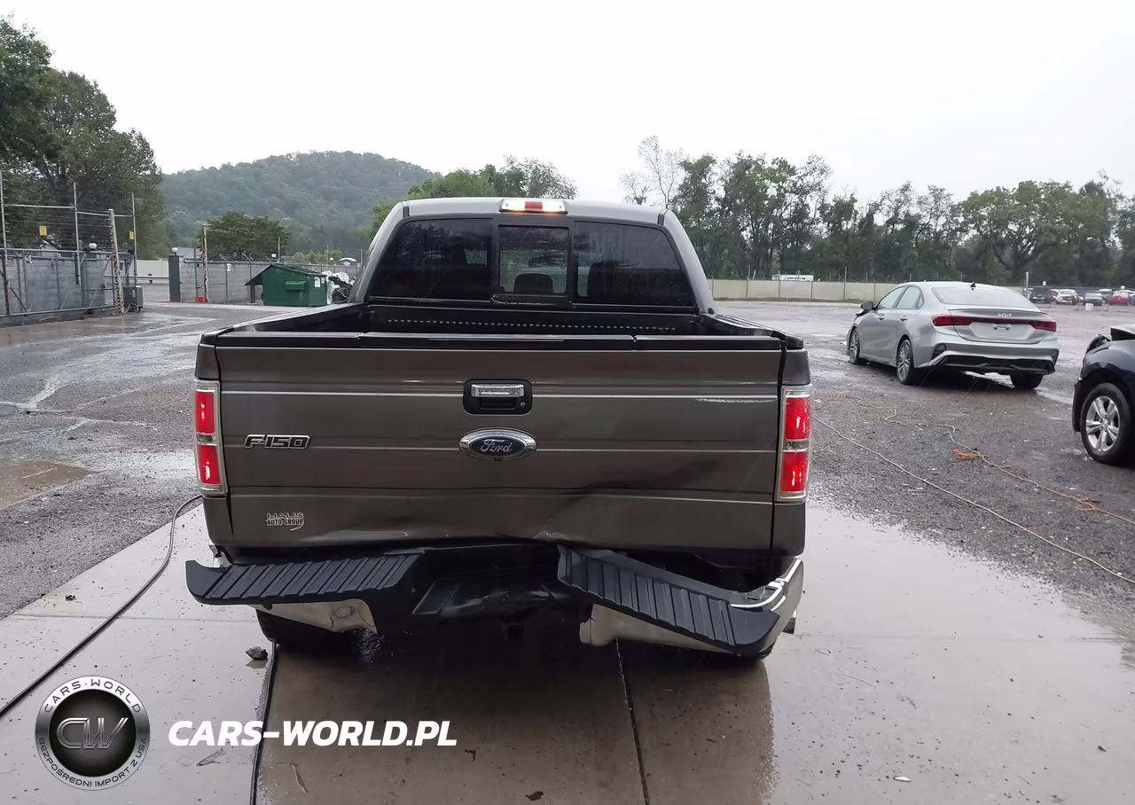 2013 Ford F-150 Xlt VIN:1FTFW1ET9DFD66348 - 17