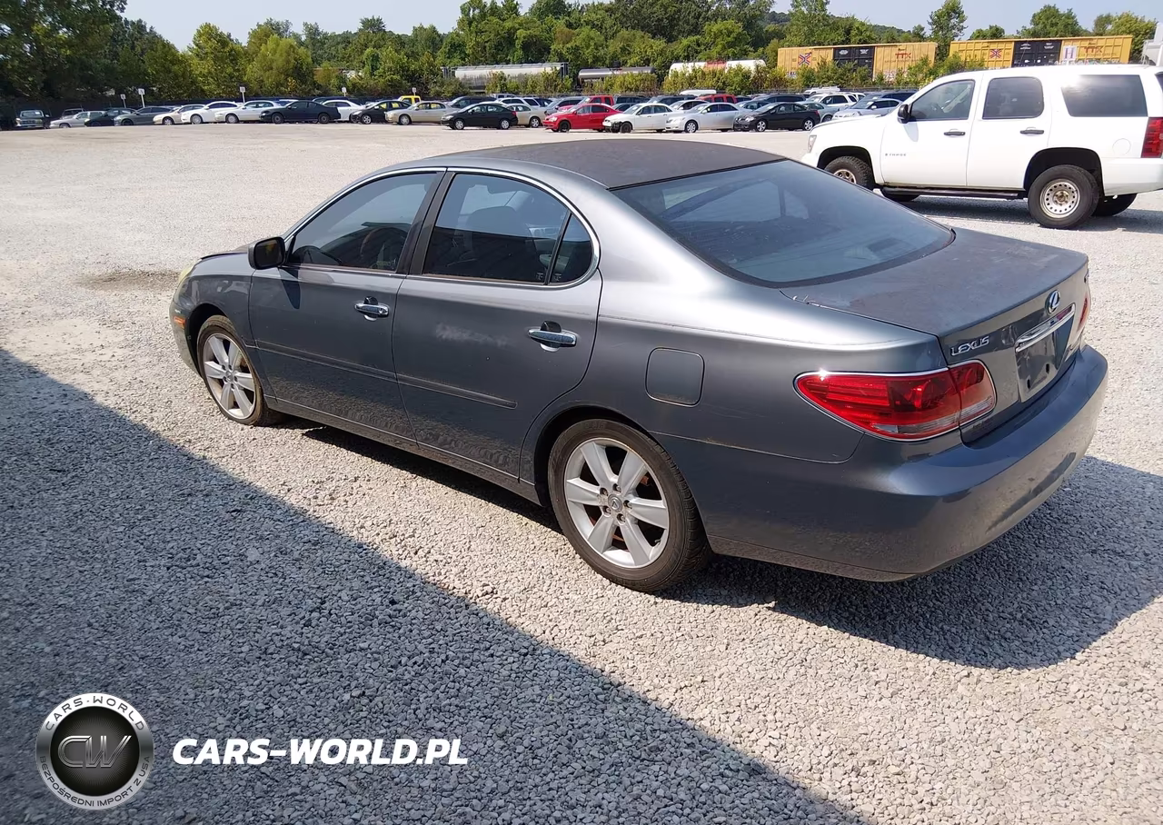 2005 Lexus Es 330 VIN:JTHBA30G555104206 - 3