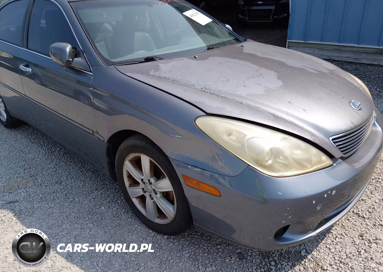 2005 Lexus Es 330 VIN:JTHBA30G555104206 - 6