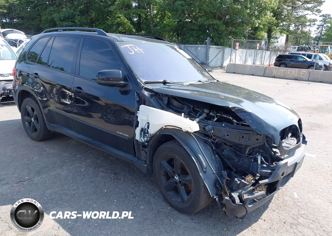 2009 BMW X5 xDrive30I