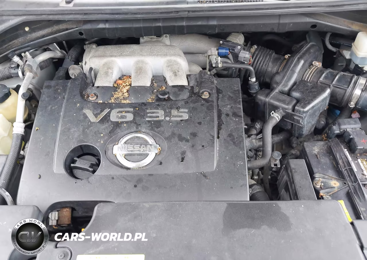 2006 Nissan Murano Sl VIN:JN8AZ08WX6W522437 - 10