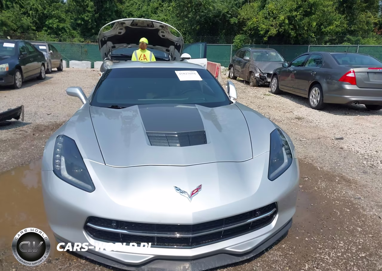 2019 Chevrolet Corvette Stingray VIN:1G1YC2D73K5112464 - 13