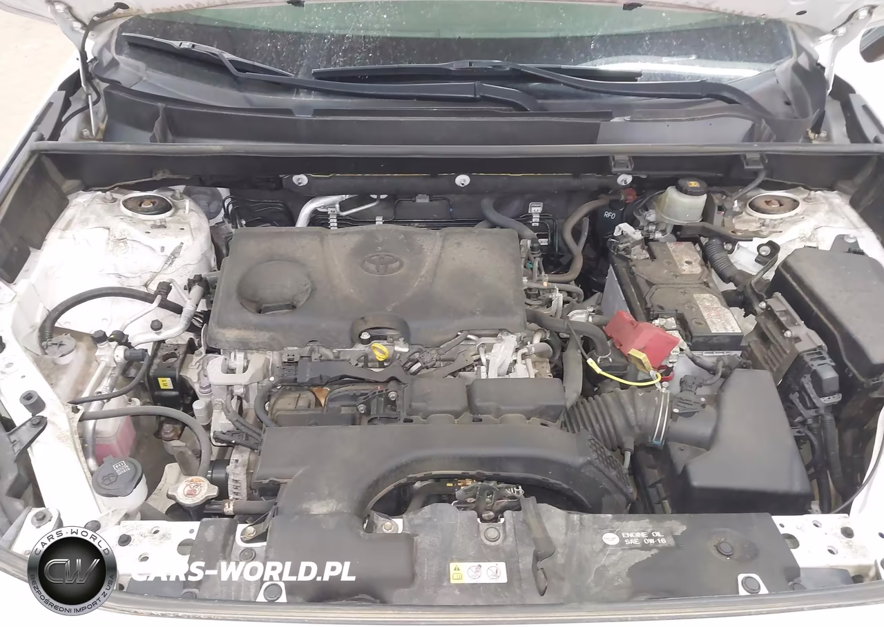 2019 Toyota Rav4 Le VIN:JTMG1RFV1KD505012 - 10