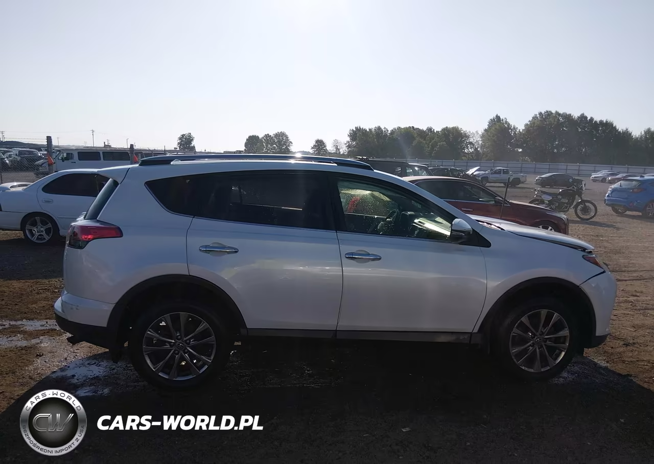 2017 Toyota Rav4 Limited VIN:JTMYFREV3HJ137241 - 13