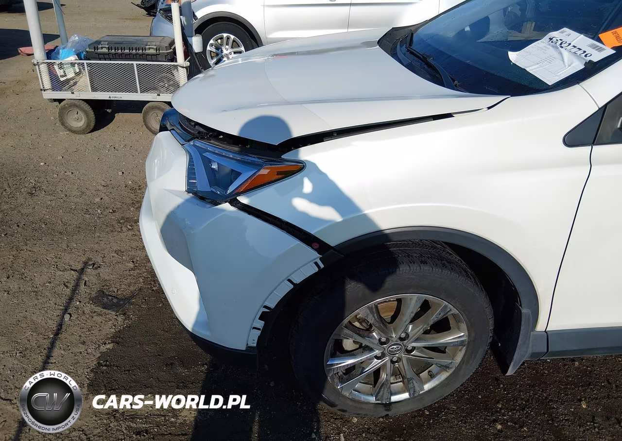 2017 Toyota Rav4 Limited VIN:JTMYFREV3HJ137241 - 19