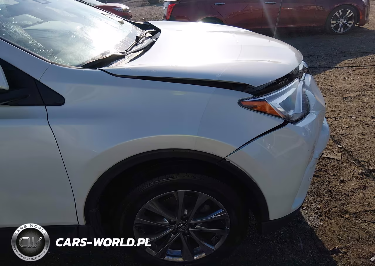 2017 Toyota Rav4 Limited VIN:JTMYFREV3HJ137241 - 20