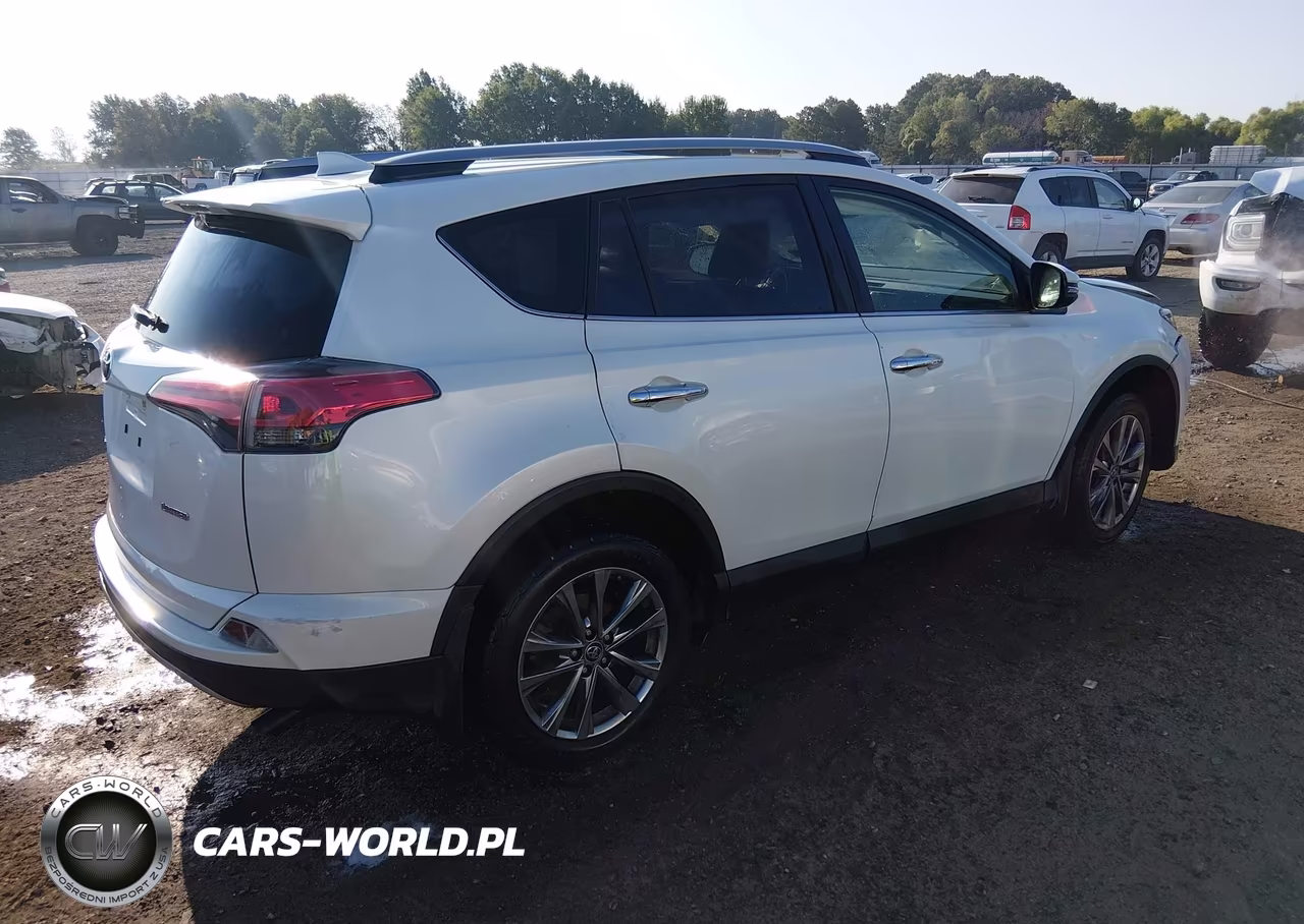 2017 Toyota Rav4 Limited VIN:JTMYFREV3HJ137241 - 4