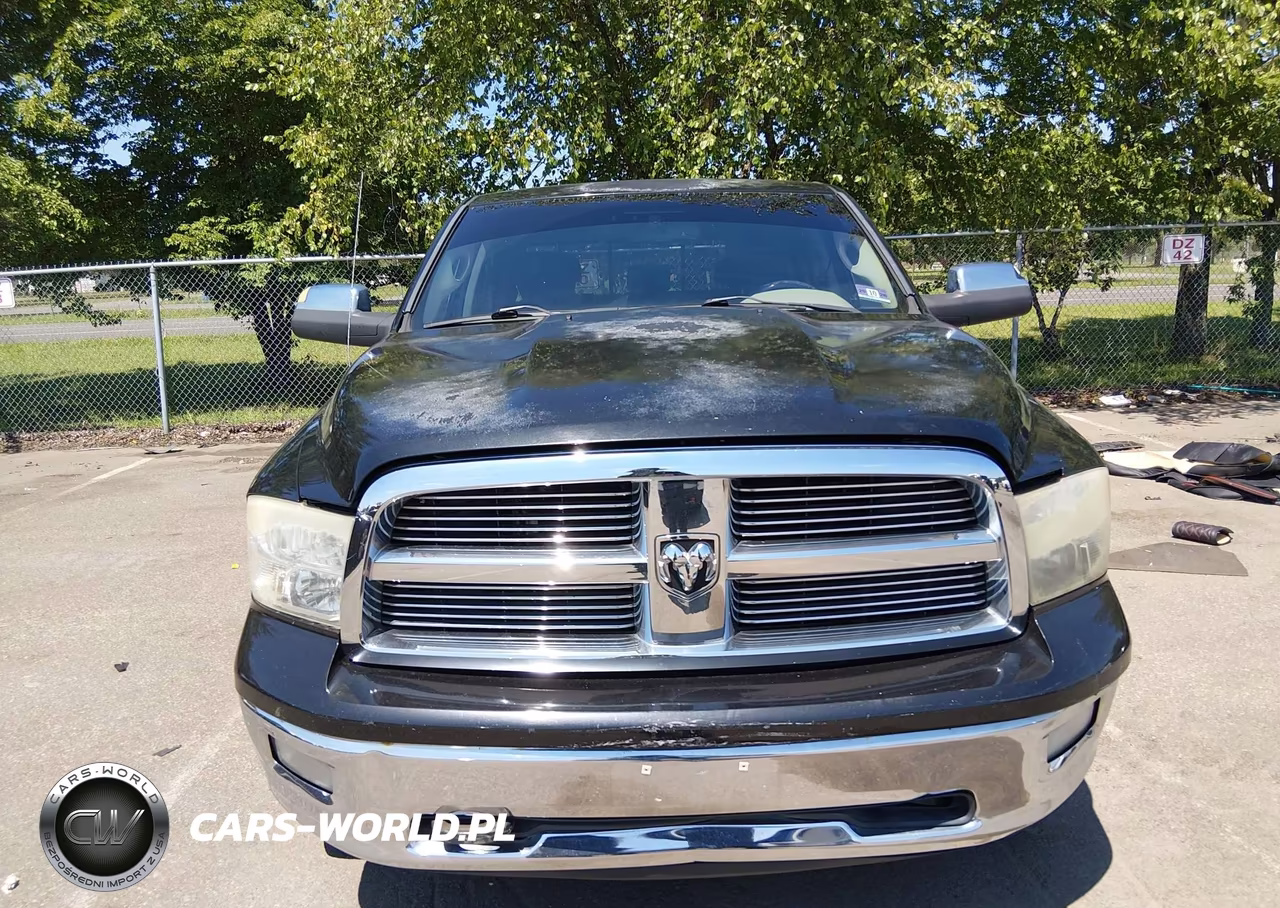 2010 Dodge Ram 1500 Slt-Sport-Trx VIN:1D7RV1CT8AS151507 - 12