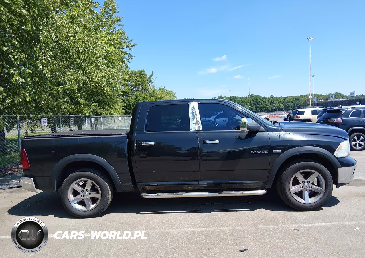 2010 Dodge Ram 1500 Slt-Sport-Trx VIN:1D7RV1CT8AS151507 - 13