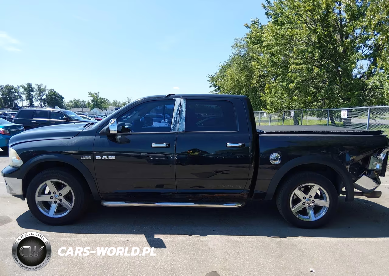 2010 Dodge Ram 1500 Slt-Sport-Trx VIN:1D7RV1CT8AS151507 - 14