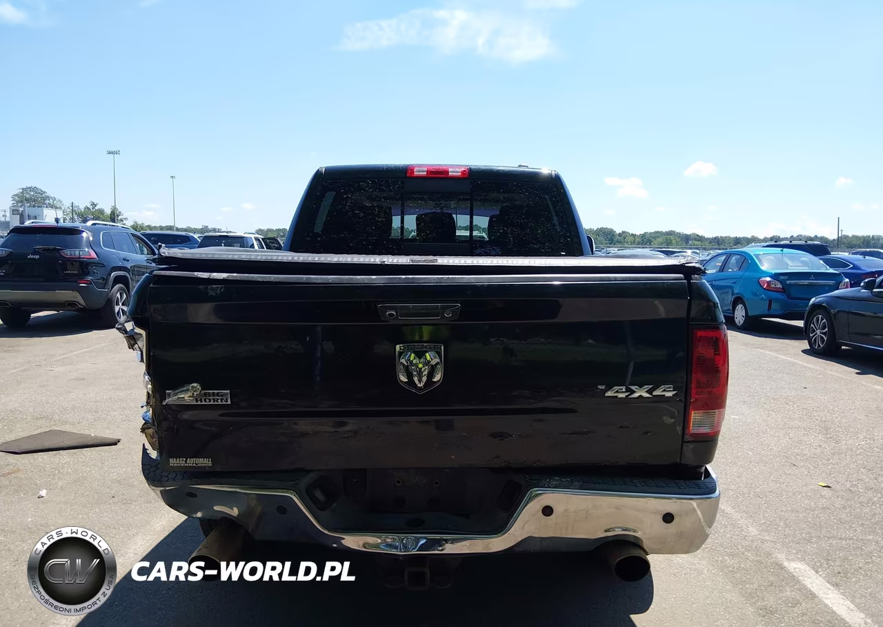 2010 Dodge Ram 1500 Slt-Sport-Trx VIN:1D7RV1CT8AS151507 - 16