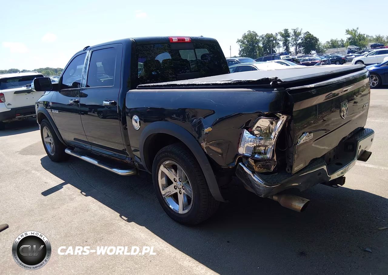 2010 Dodge Ram 1500 Slt-Sport-Trx VIN:1D7RV1CT8AS151507 - 3
