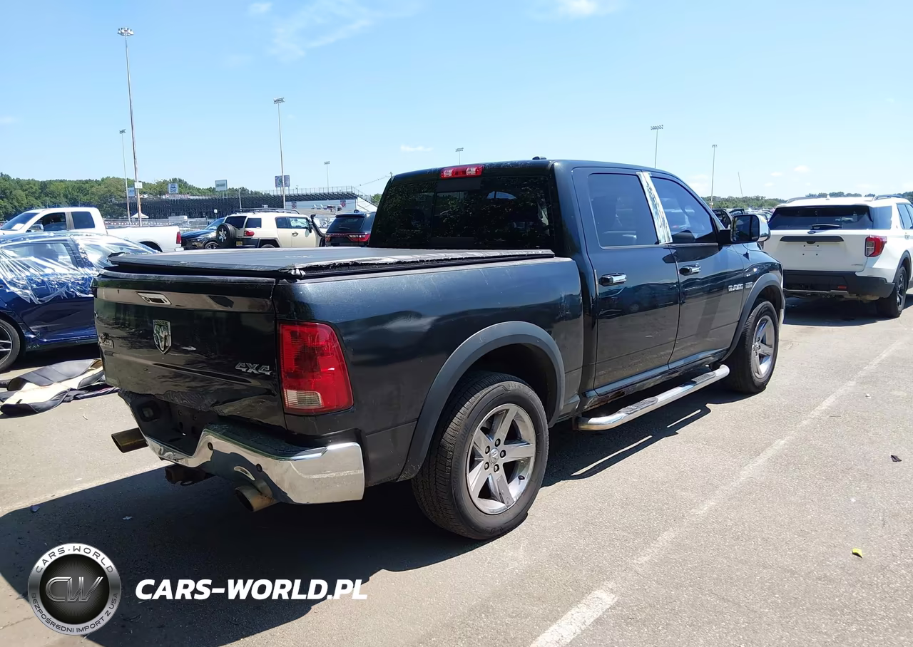 2010 Dodge Ram 1500 Slt-Sport-Trx VIN:1D7RV1CT8AS151507 - 4